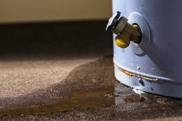 Best Fire Damage Restoration  in Princeton, MO