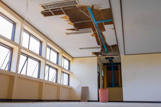 Best Sewage cleanup and water damage restoration  in Princeton, MO