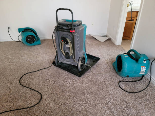 Best Mold removal after water damage  in Princeton, MO