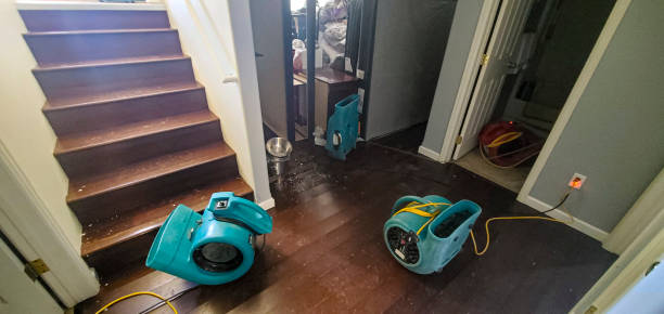 Best 24-hour water damage restoration  in Princeton, MO