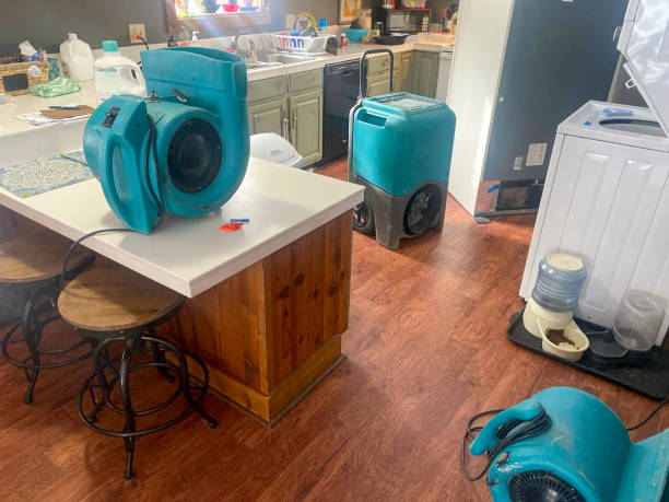 Best 24/7 water damage repair  in Princeton, MO