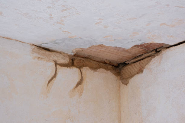 Best Water damage restoration specialists  in Princeton, MO
