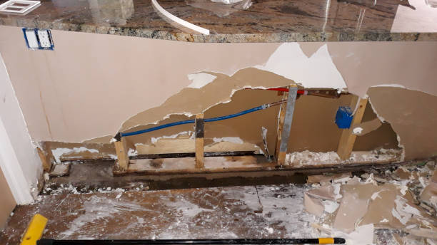 Best Commercial water damage restoration  in Princeton, MO