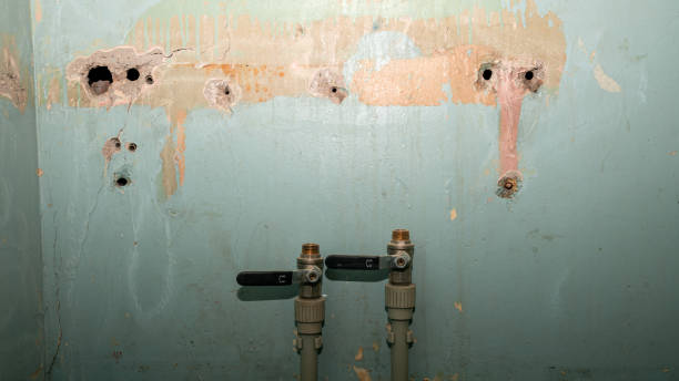 Best Carpet water damage restoration  in Princeton, MO