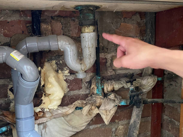 Trusted Princeton, MO Water damage restoration Experts
