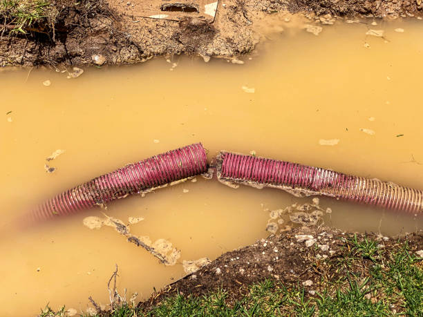 Best Flood damage cleanup  in Princeton, MO