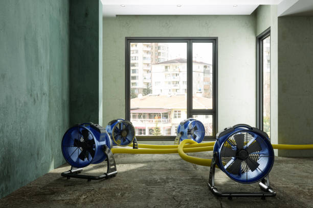 Best Water damage restoration cost  in Princeton, MO