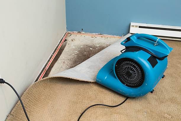  Princeton, MO Water damage restoration Pros